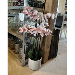 Orkide, kunstig 9-grenet lyserød/ afhentes i butikken